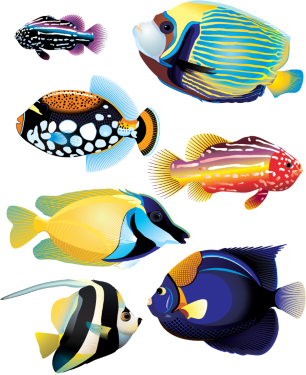 free vector Animal fish realistic and abstract vector material